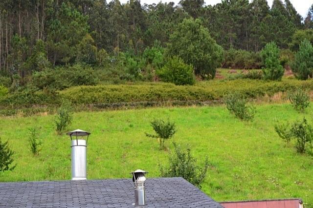 Apartamentos Rurales Casa Ron Coana Exteriör bild